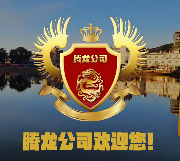 新能源发布会广告图